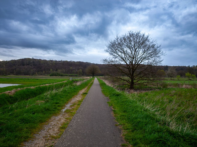 Tranquil rural road through a lush meadow in Milsbeek, Netherlands, under a cloudy sky.