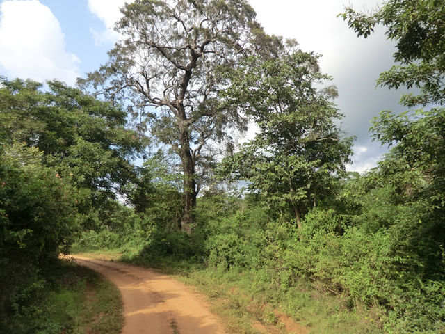 Anuradhapura, Sri Lanka