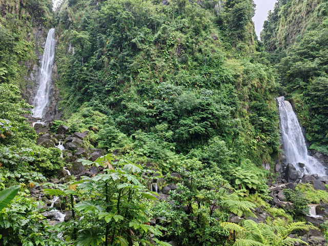 Dominica