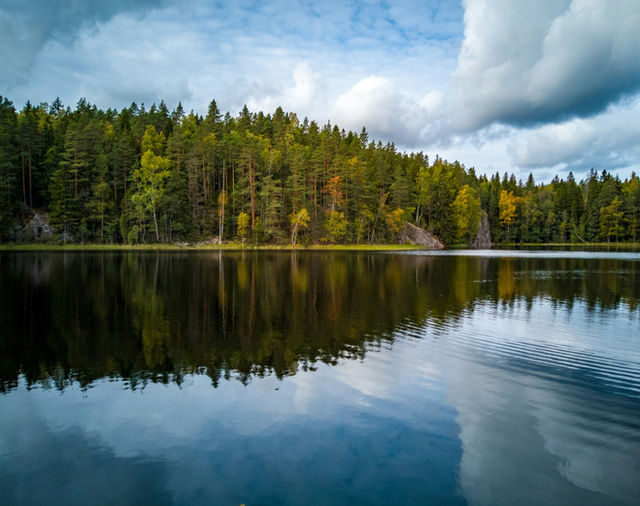 Mirrors in between woods..!
