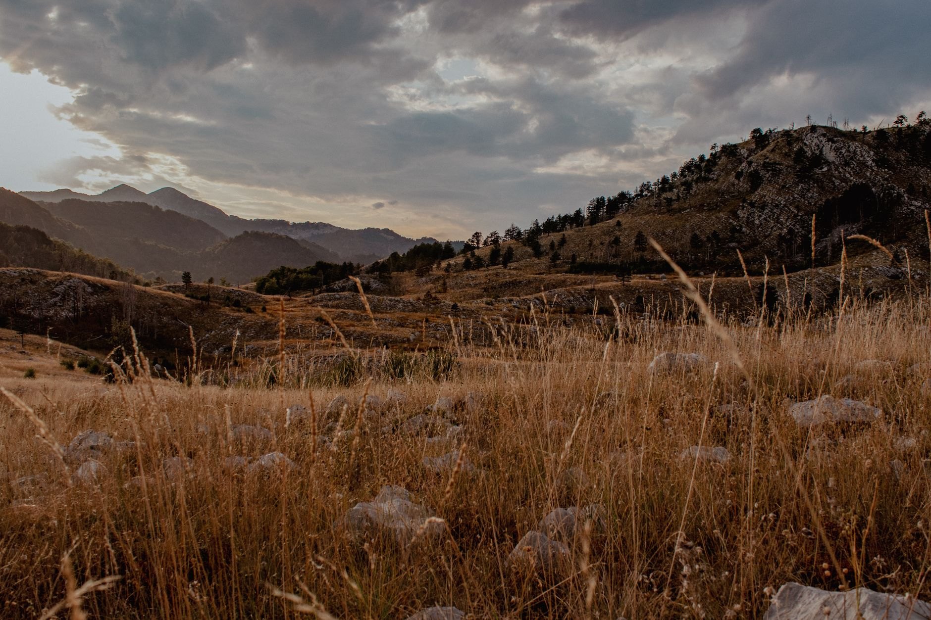 Montenegro — image 3