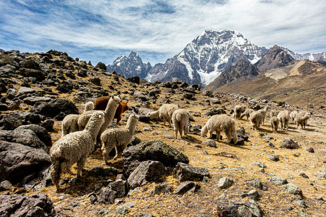 Cusco