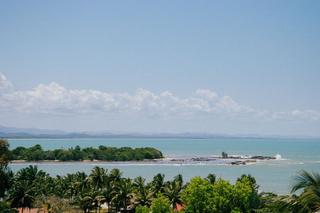 a body of water surrounded by palm trees