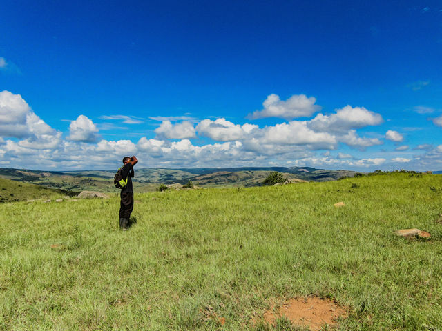 Man In landscape