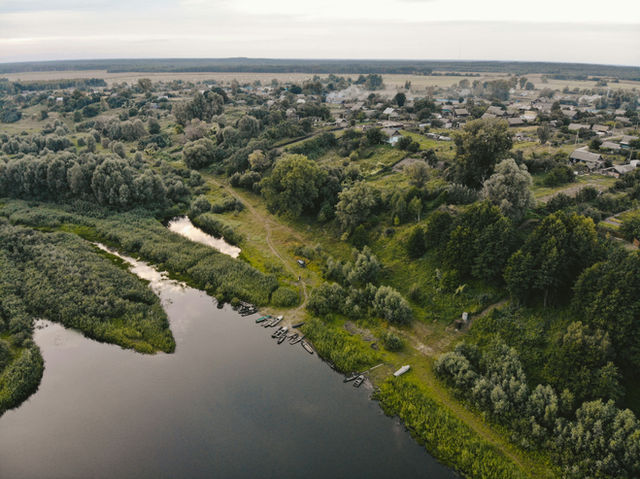 green trees near river during daytime