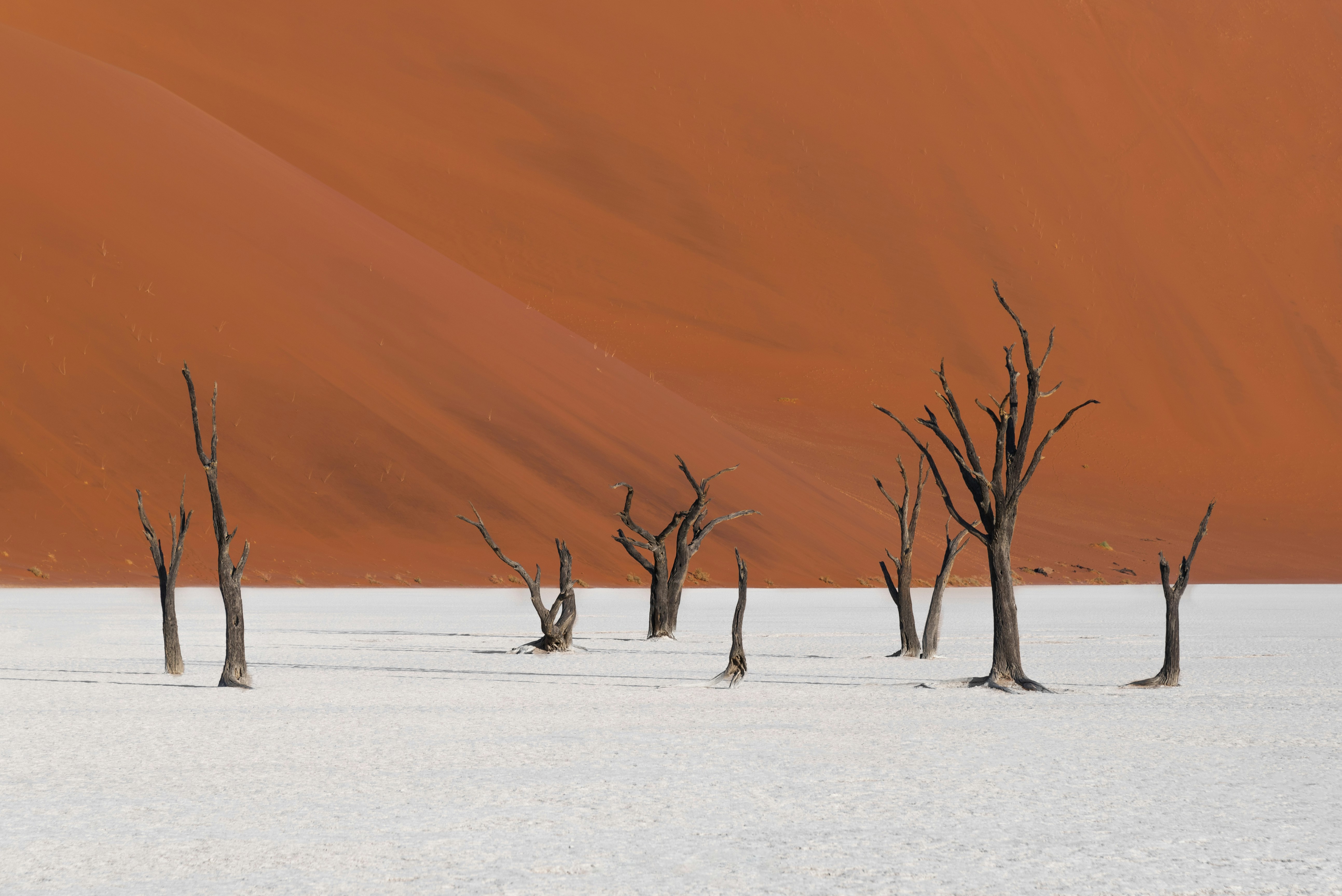 Namibia — image 4