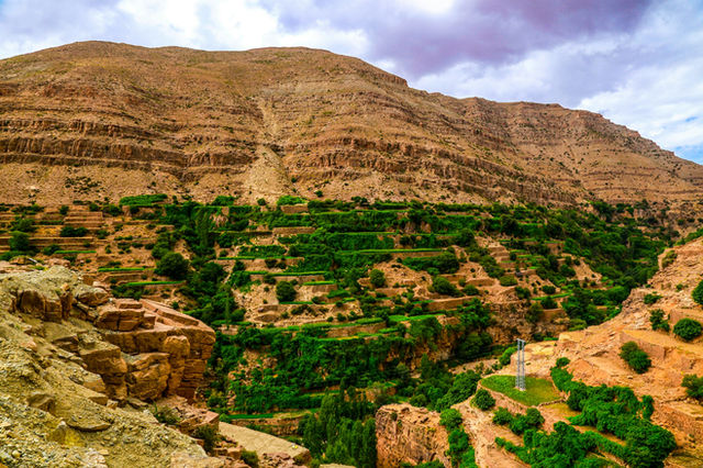 green trees and brown mountain during daytime
