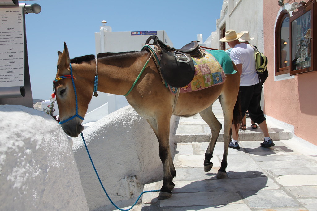 Santorini — photo 8