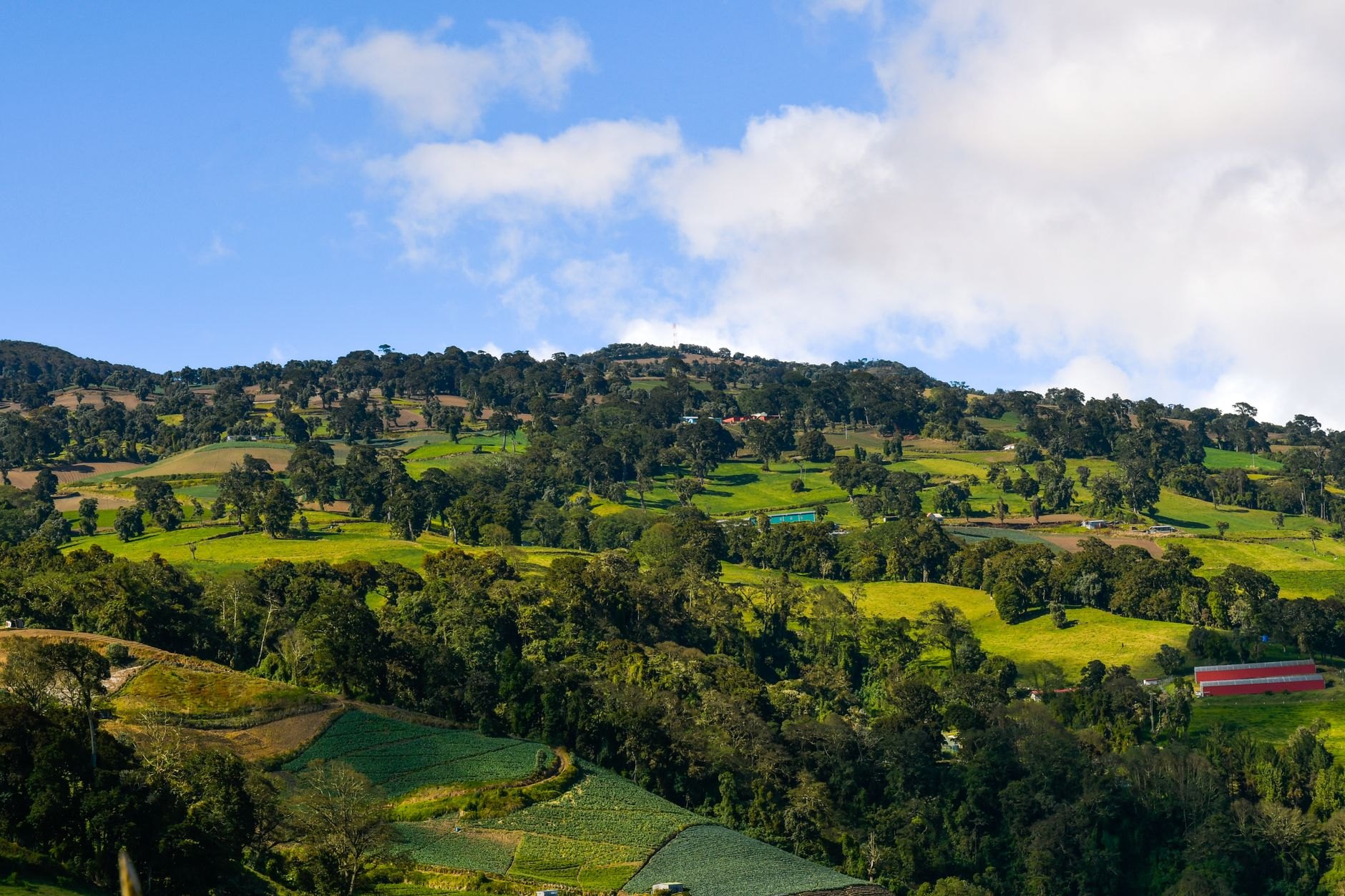 Costa Rica — image 2