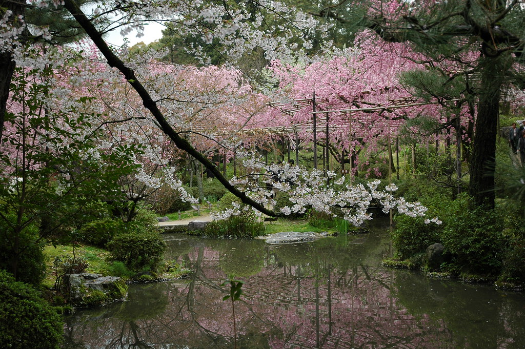 Nara — photo 18