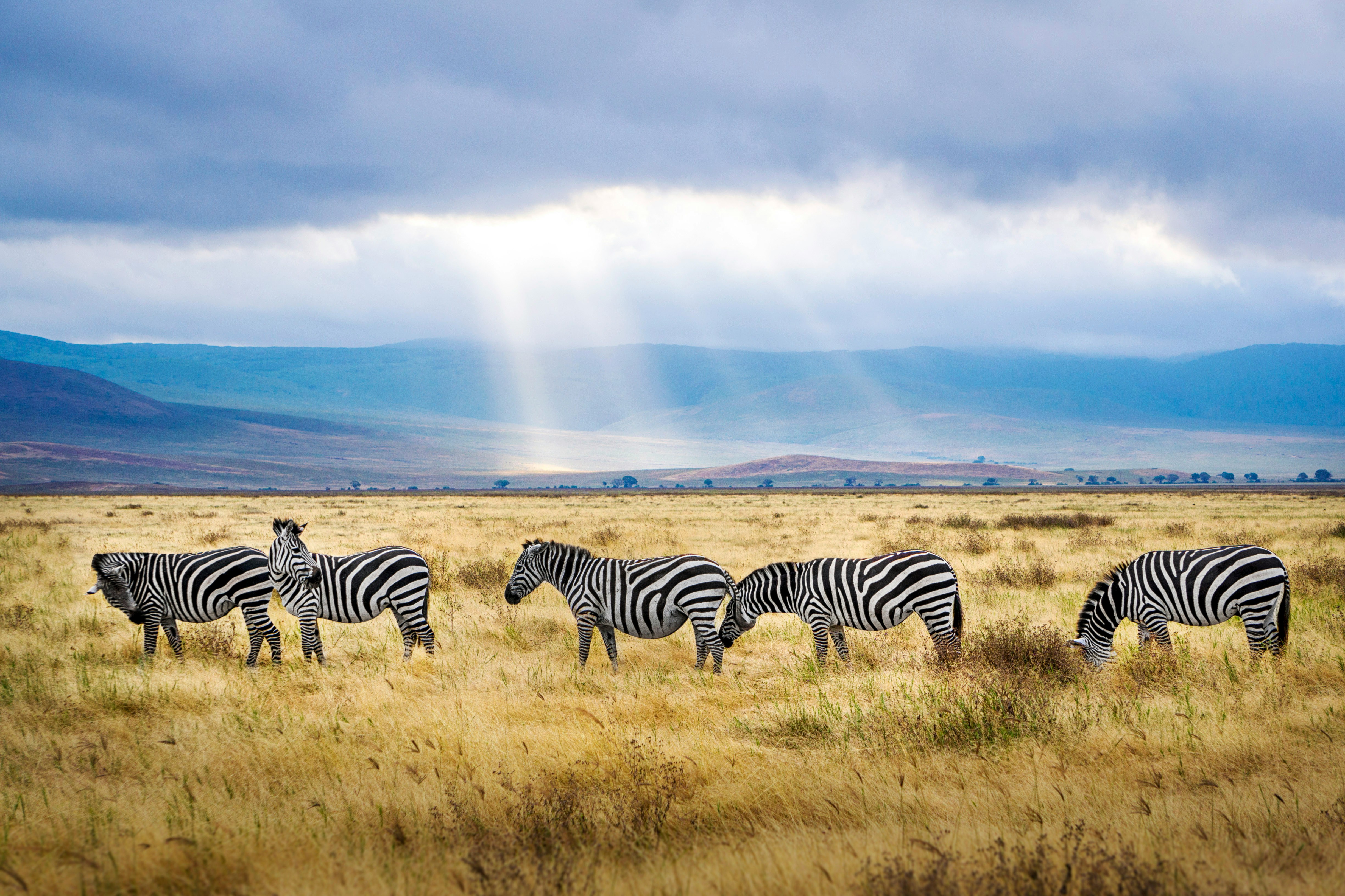 Tanzania — image 3