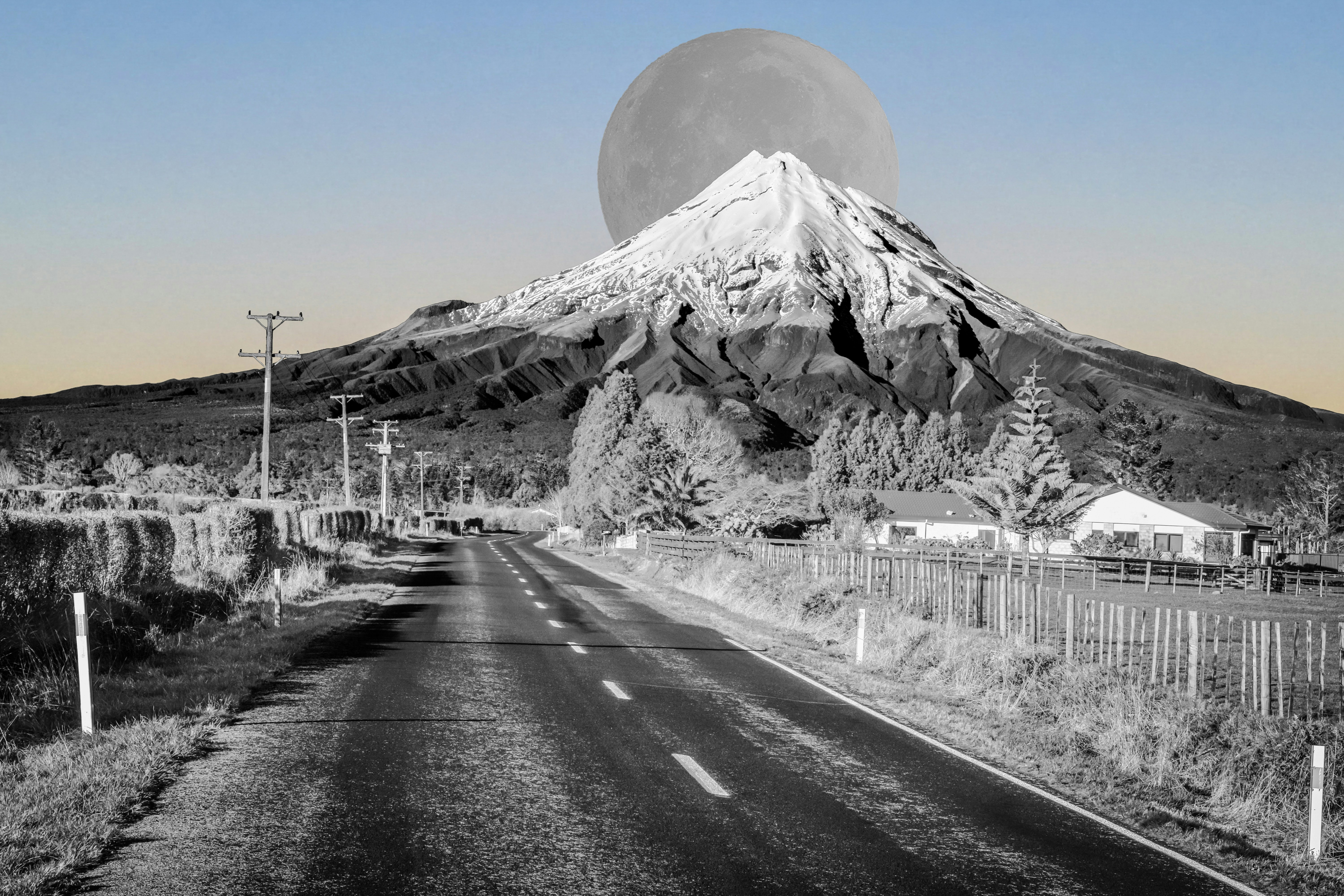 New Zealand — image 5
