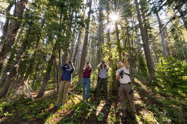 Four people, one in NPS uniform, stand in a forest. Three look upward through binoculars.