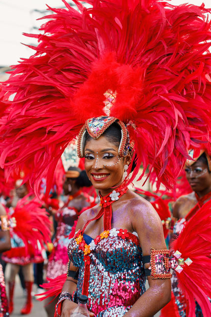 Scarlet feathers from crown to hem, held still for a moment