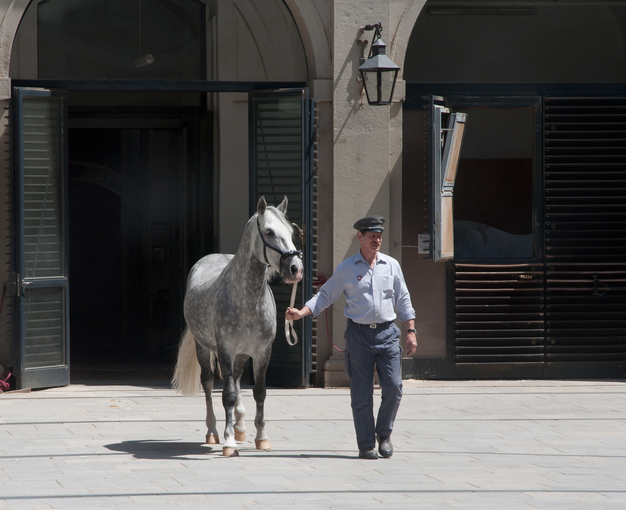 Spanish Riding School stables, Vienna