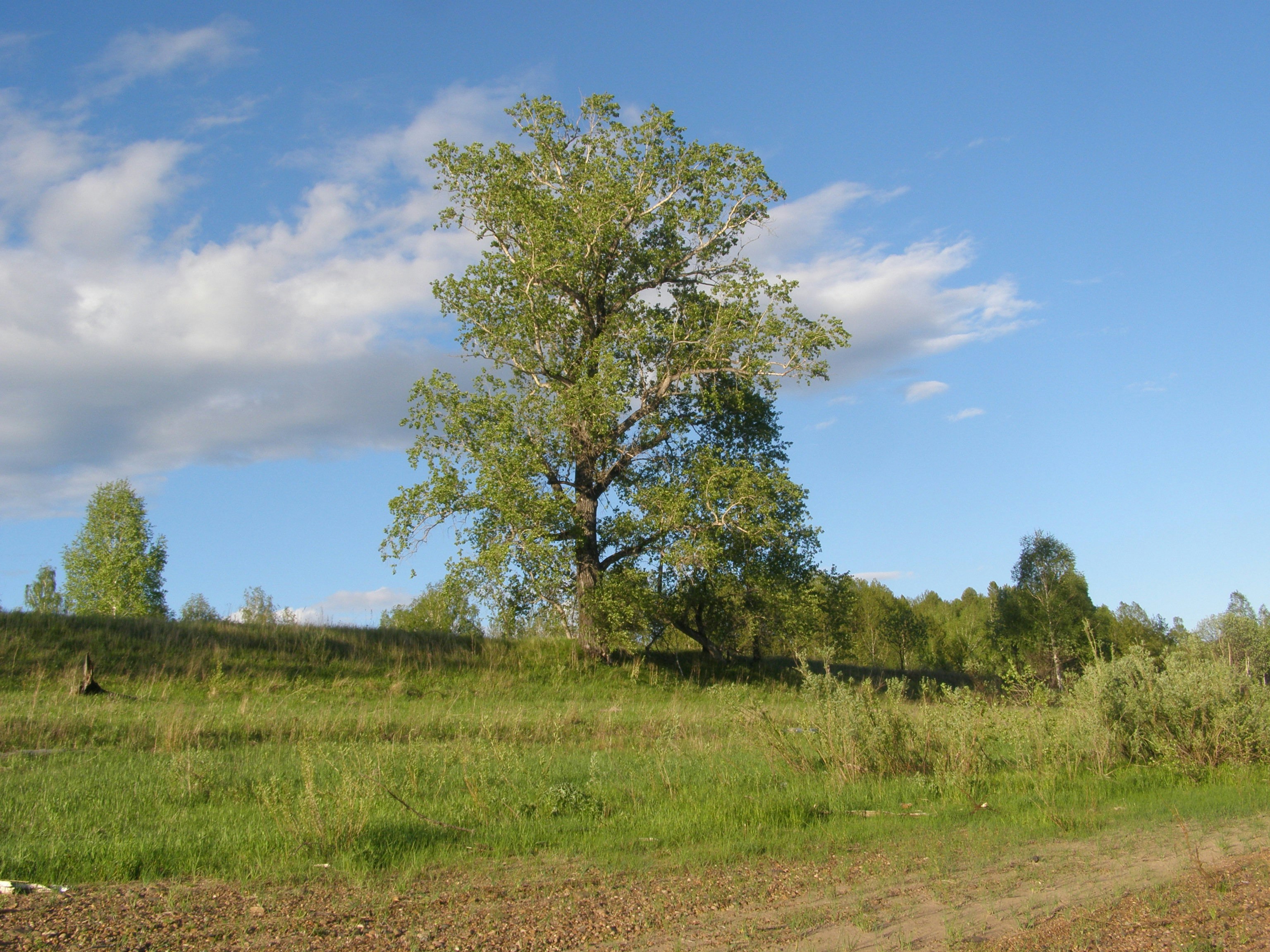 Moldova — image 5