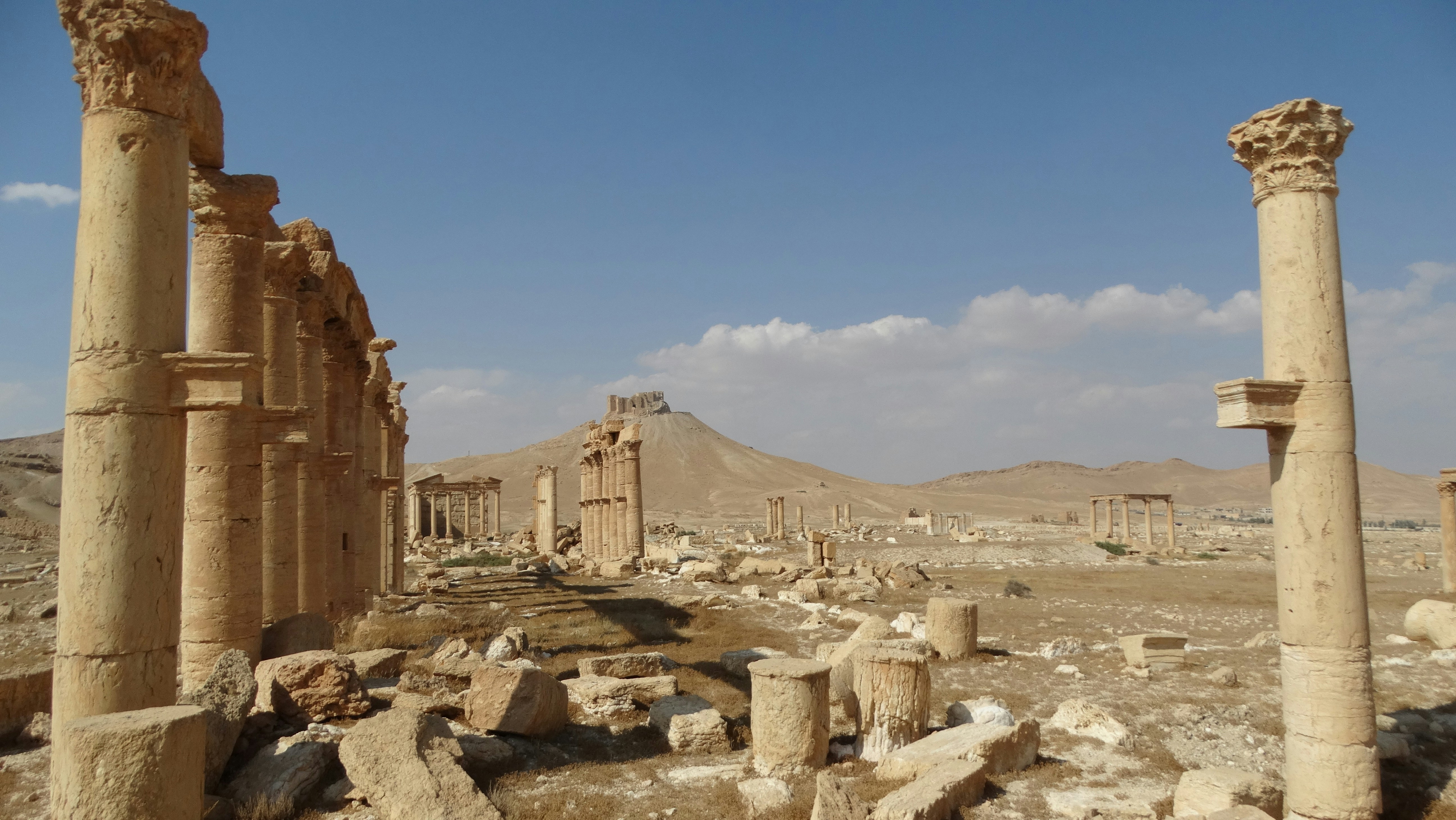 Syria — image 3
