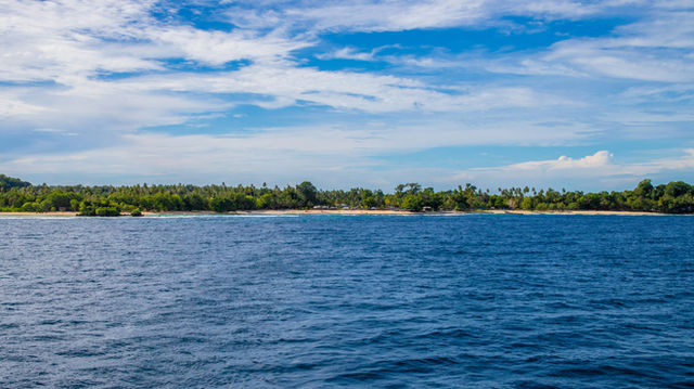 a large body of water with trees in the background