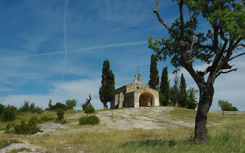 Provence — photo 10