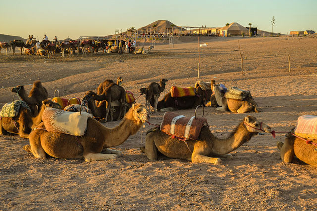 The Agafay desert