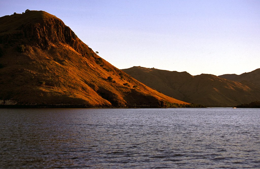 Komodo — photo 15