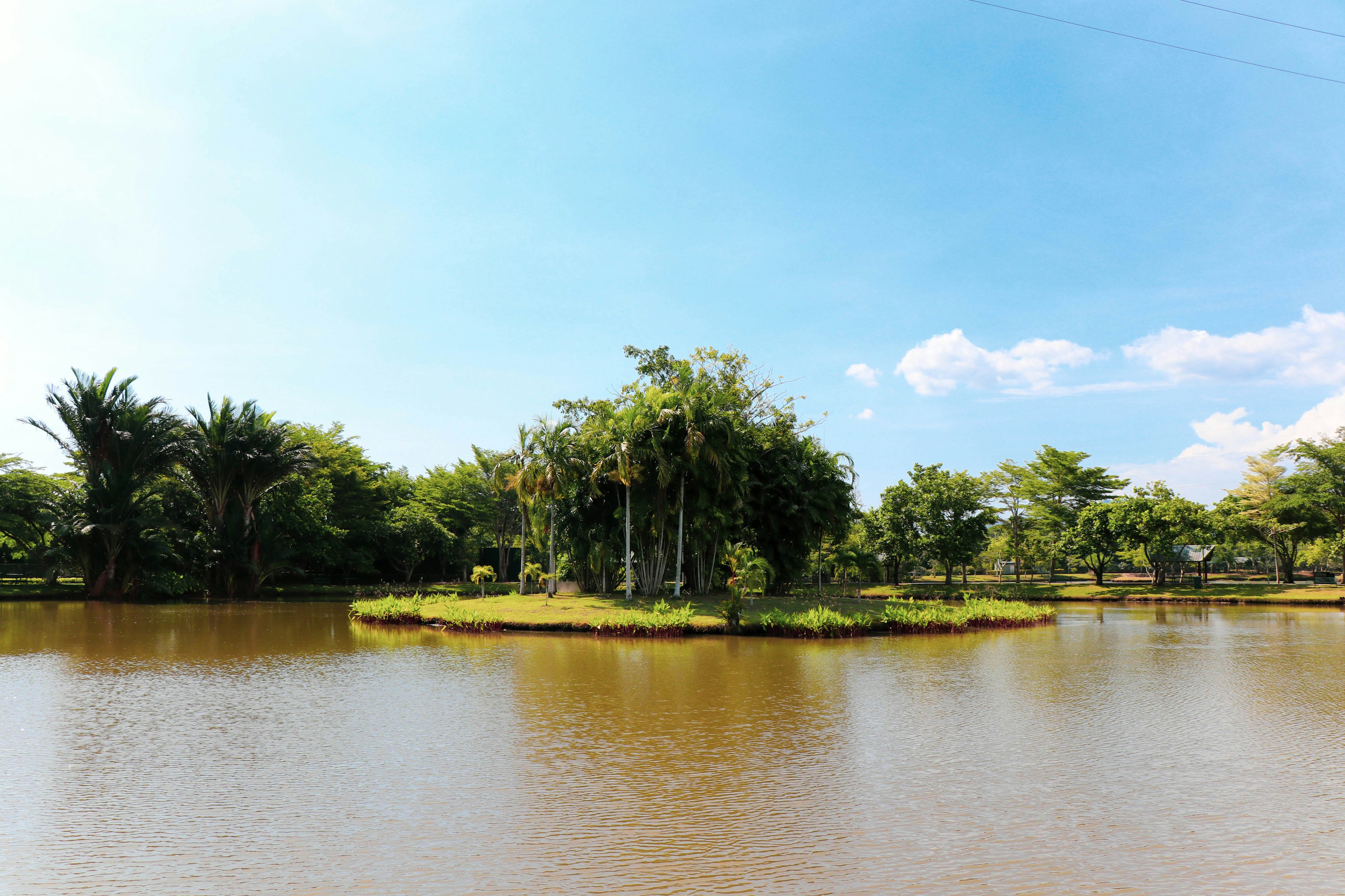Guinea — image 5