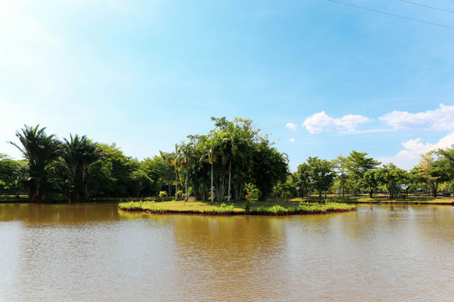 Pond