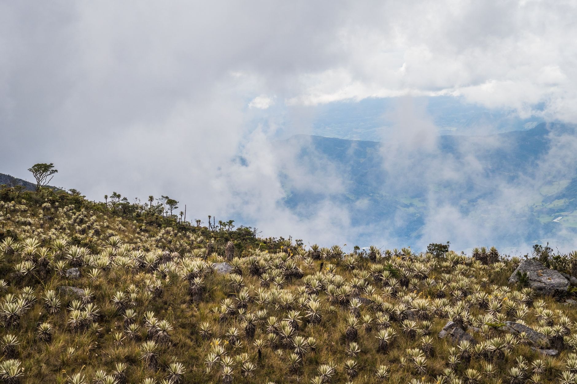 Colombia — image 4