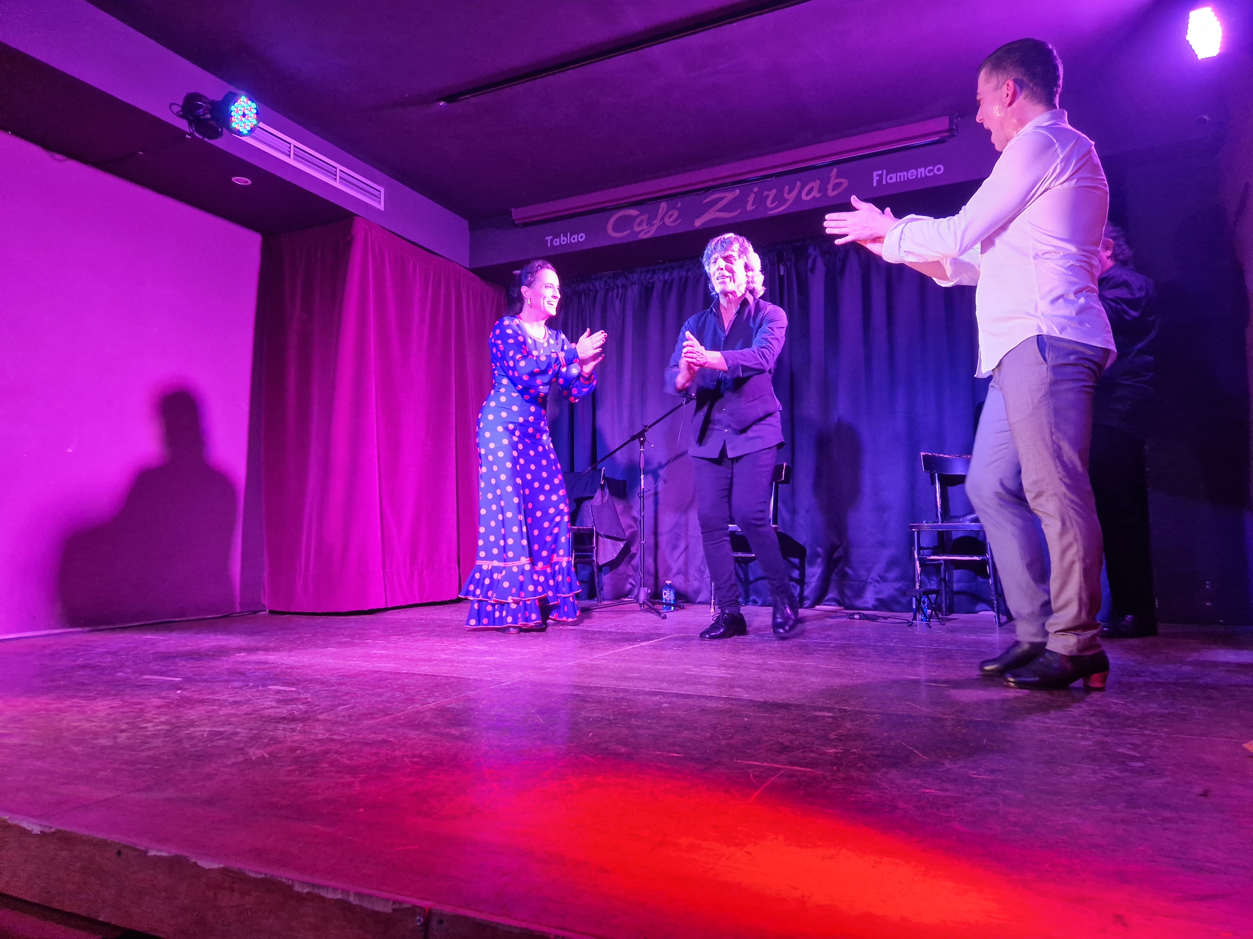 Flamenco performance in Madrid