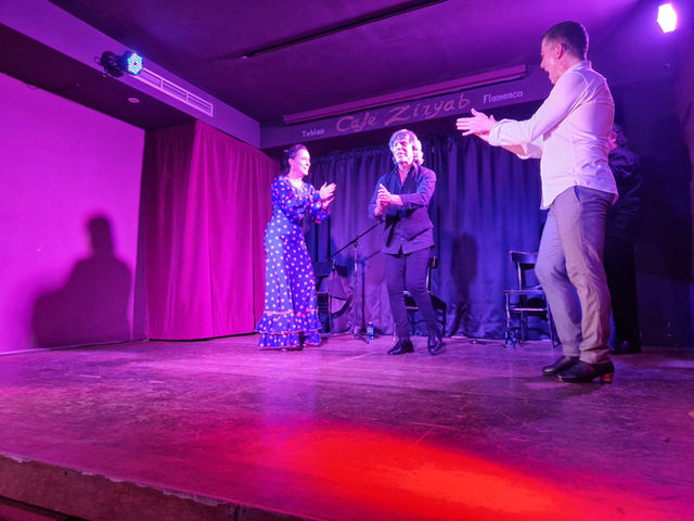 Flamenco performance in Madrid