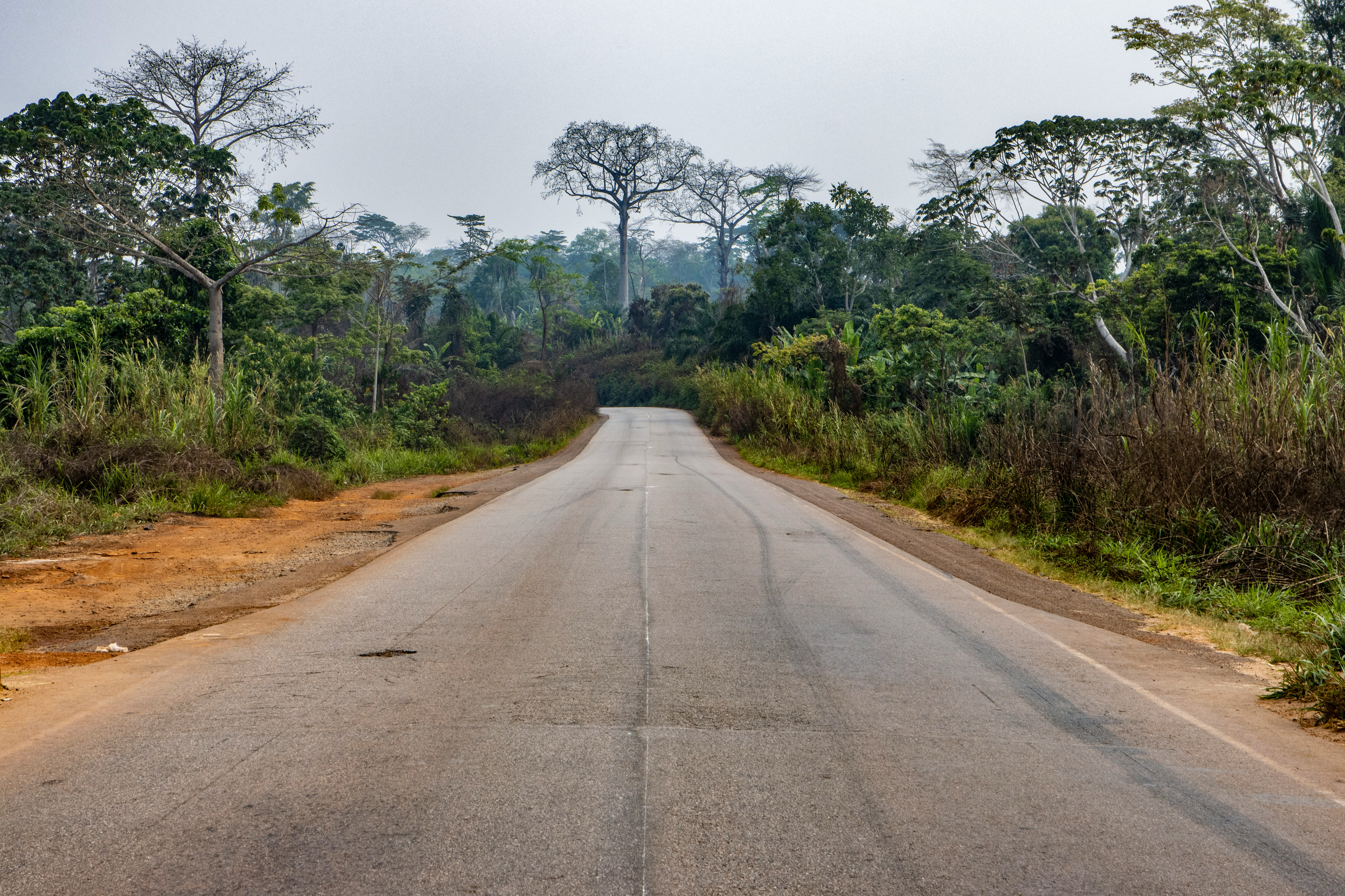 Cameroon — image 5