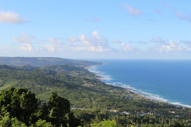 The East Coast at Hackleton's cliff Barbados