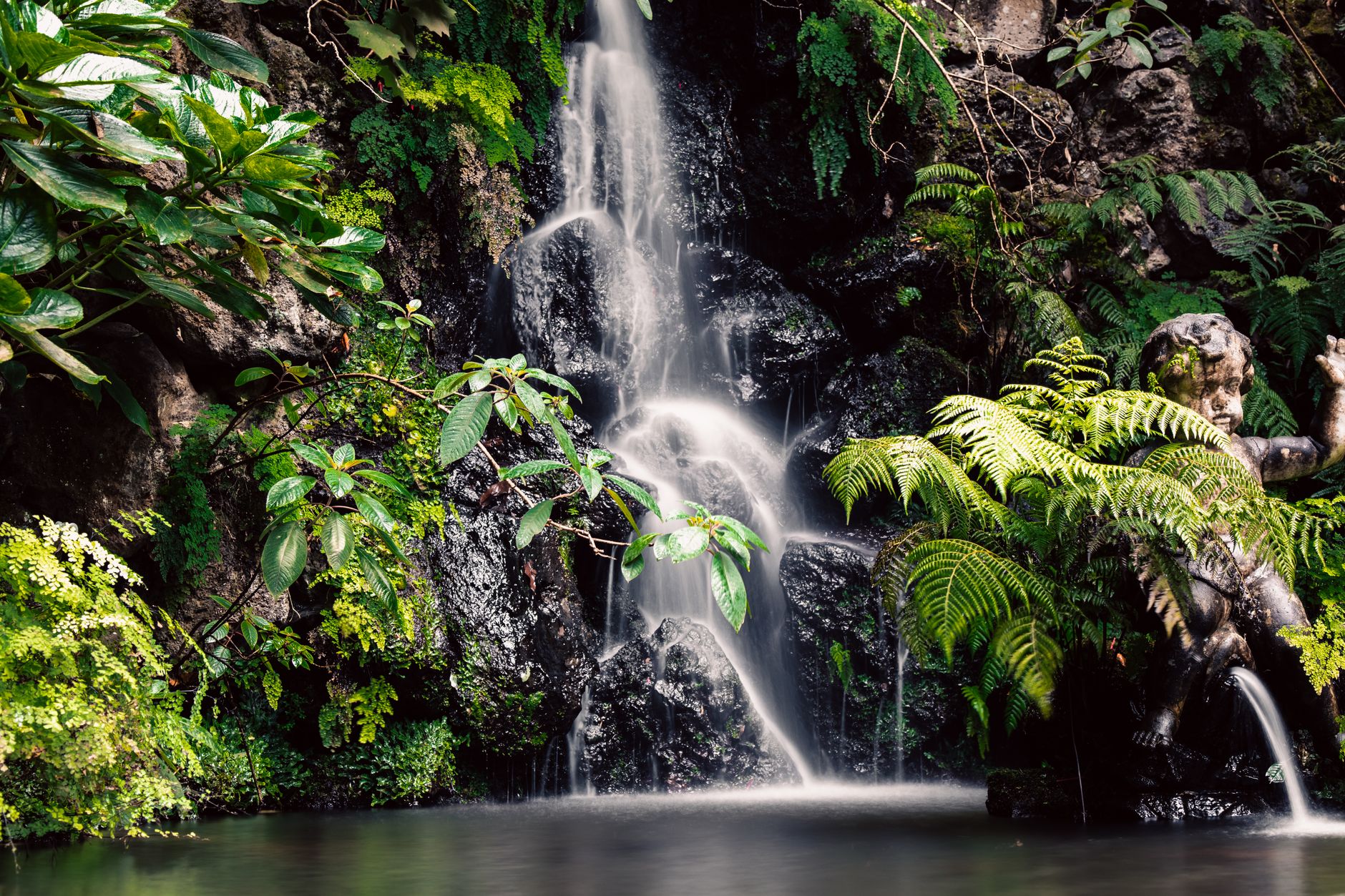 A Madeira levada walk through the laurisilva