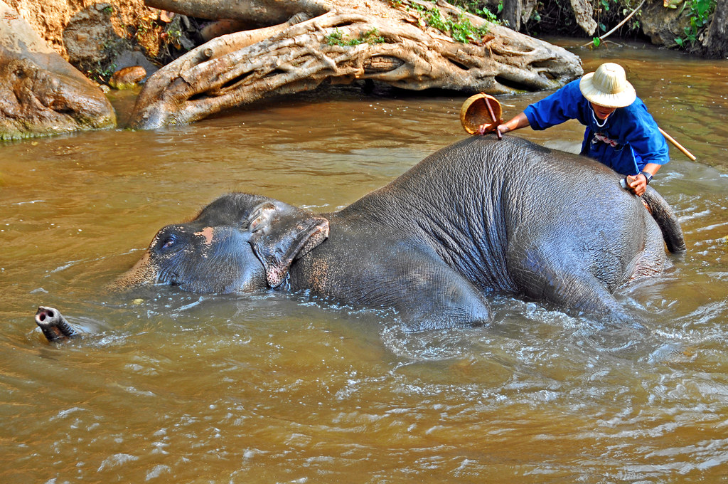 Chiang Mai — photo 16