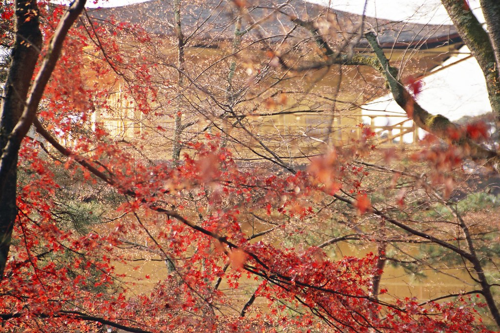 Kyoto — photo 17