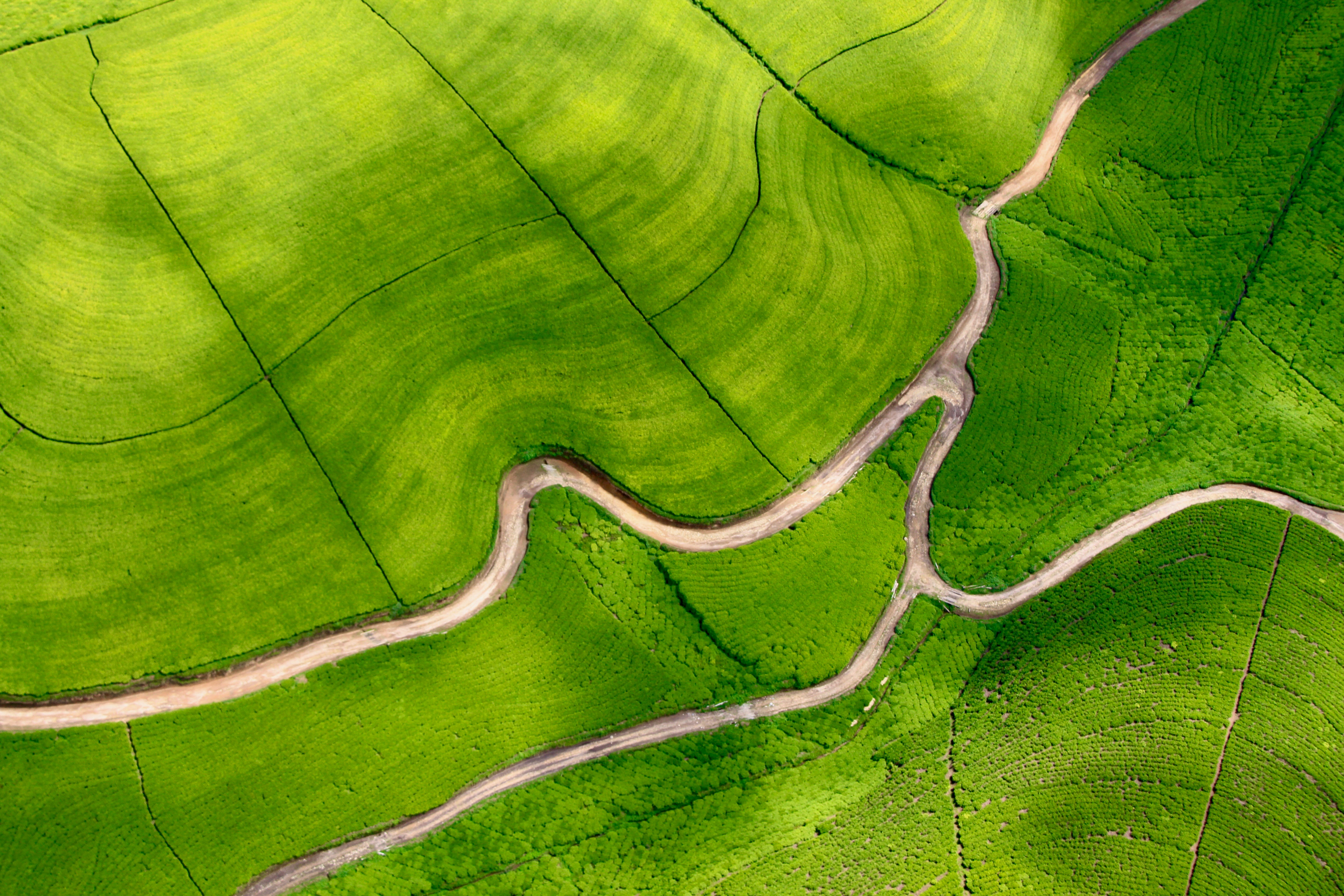 Rwanda — image 4