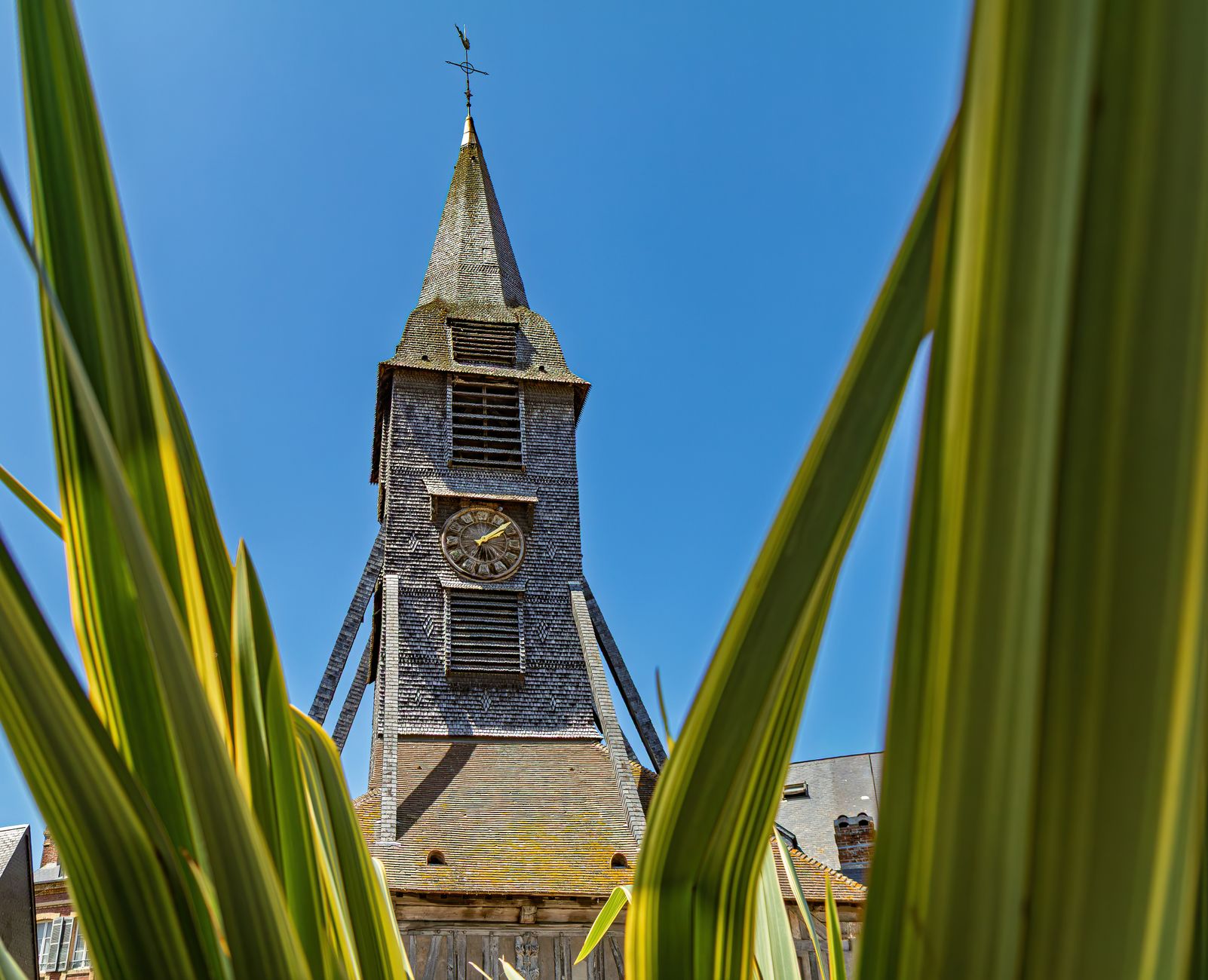 Honfleur