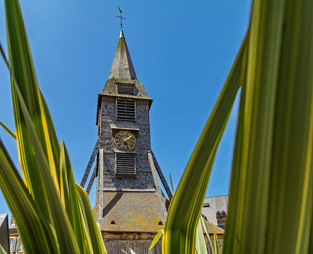 Honfleur