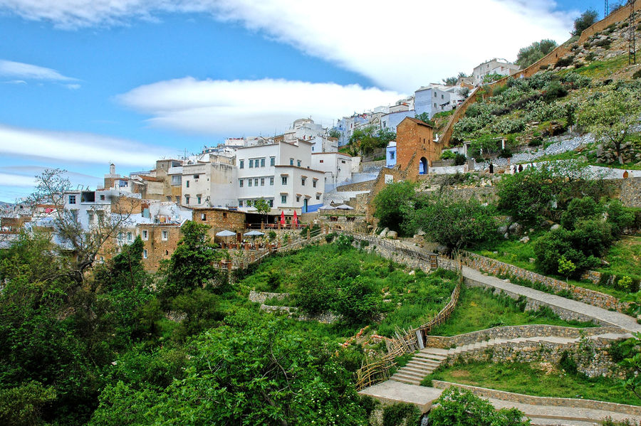Captivating hillside view of Chefchaouen's unique architecture amid lush greenery and blue skies.