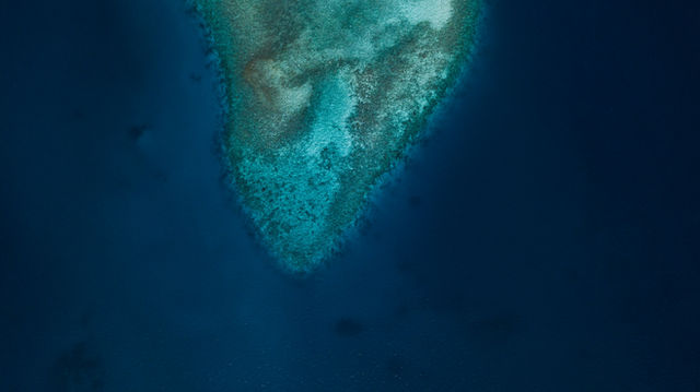 Lagoon