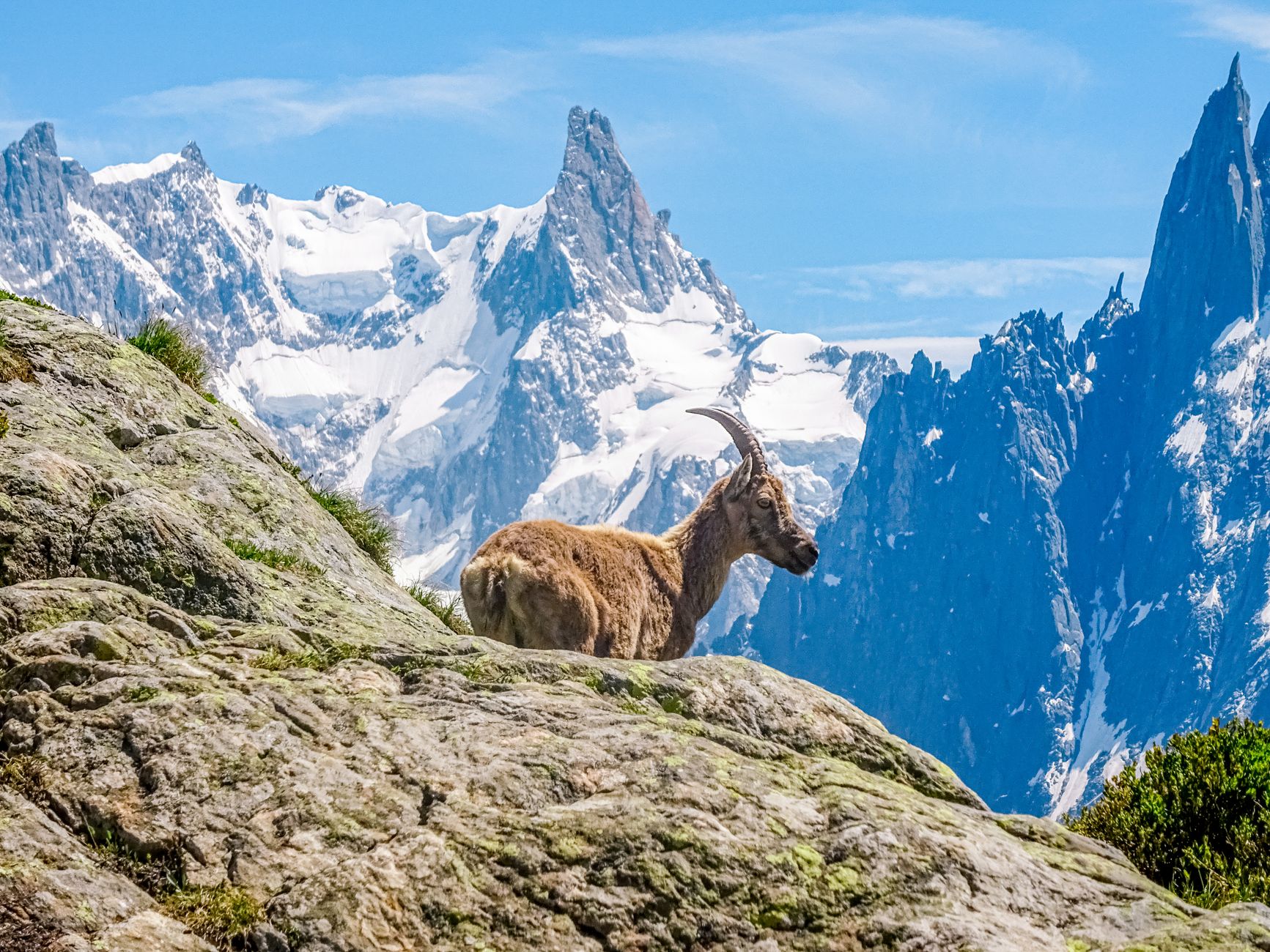 Chamonix