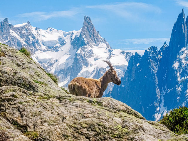 Chamonix