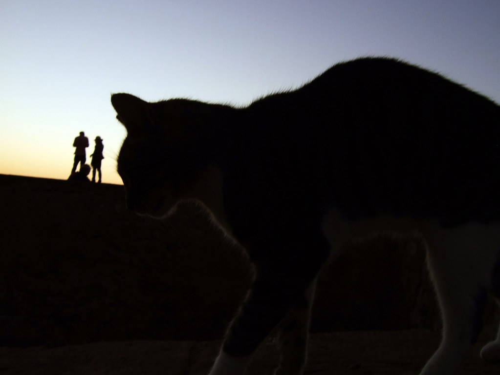Essaouira — photo 20