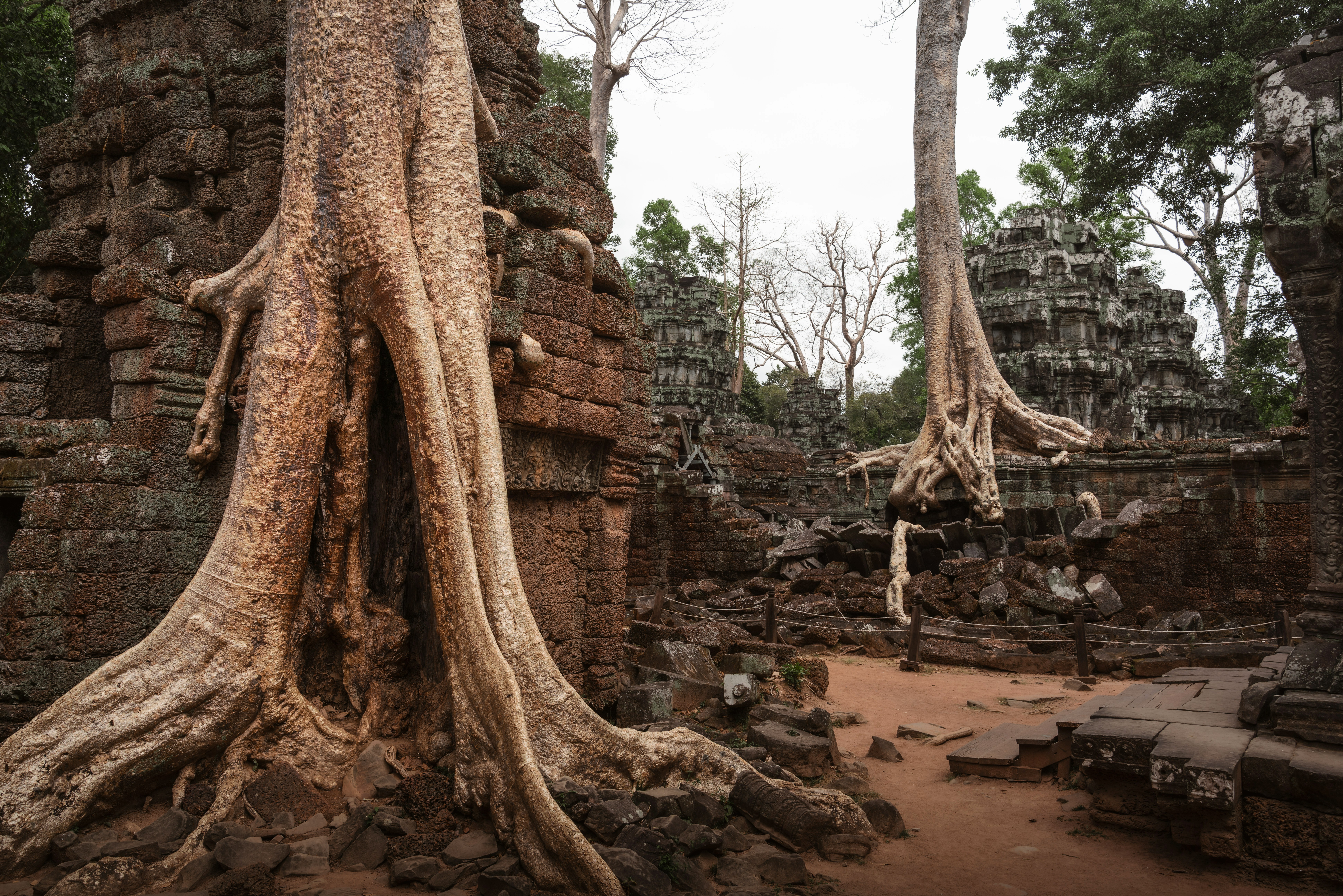 Cambodia — image 1
