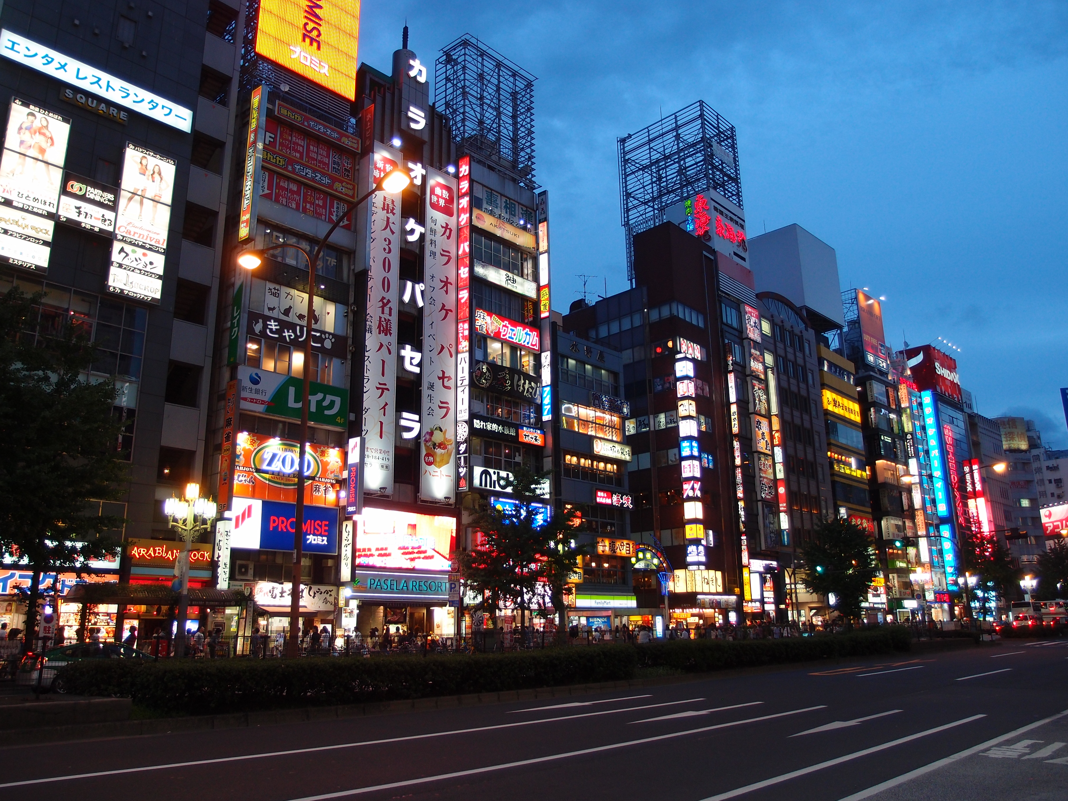 Shinjuku entertainment district, Tokyo