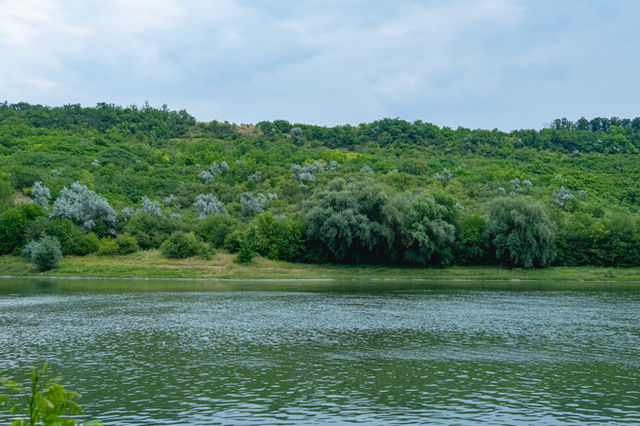 Lake with lush greenery and hilly backdrop.