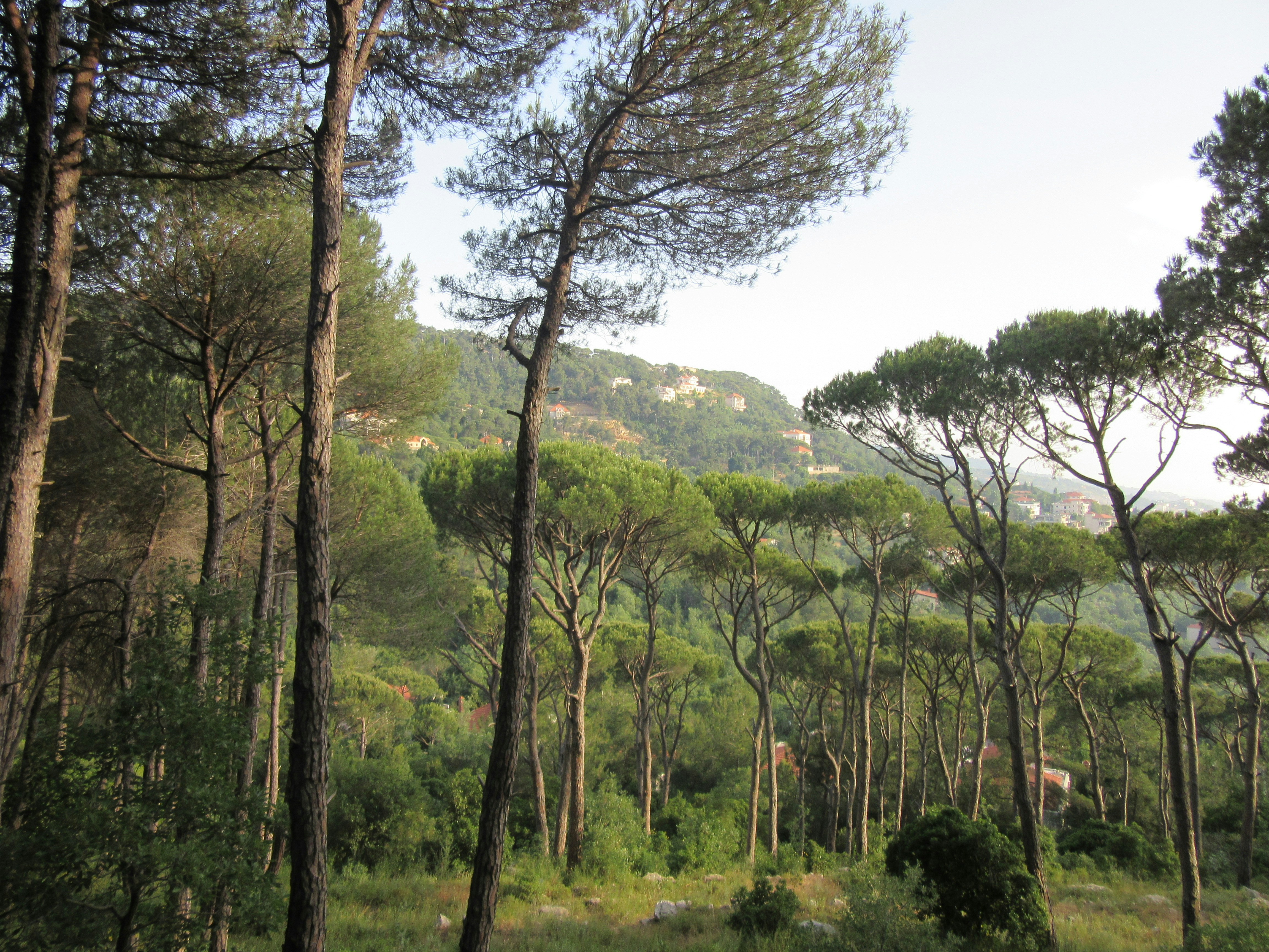 Lebanon — image 3