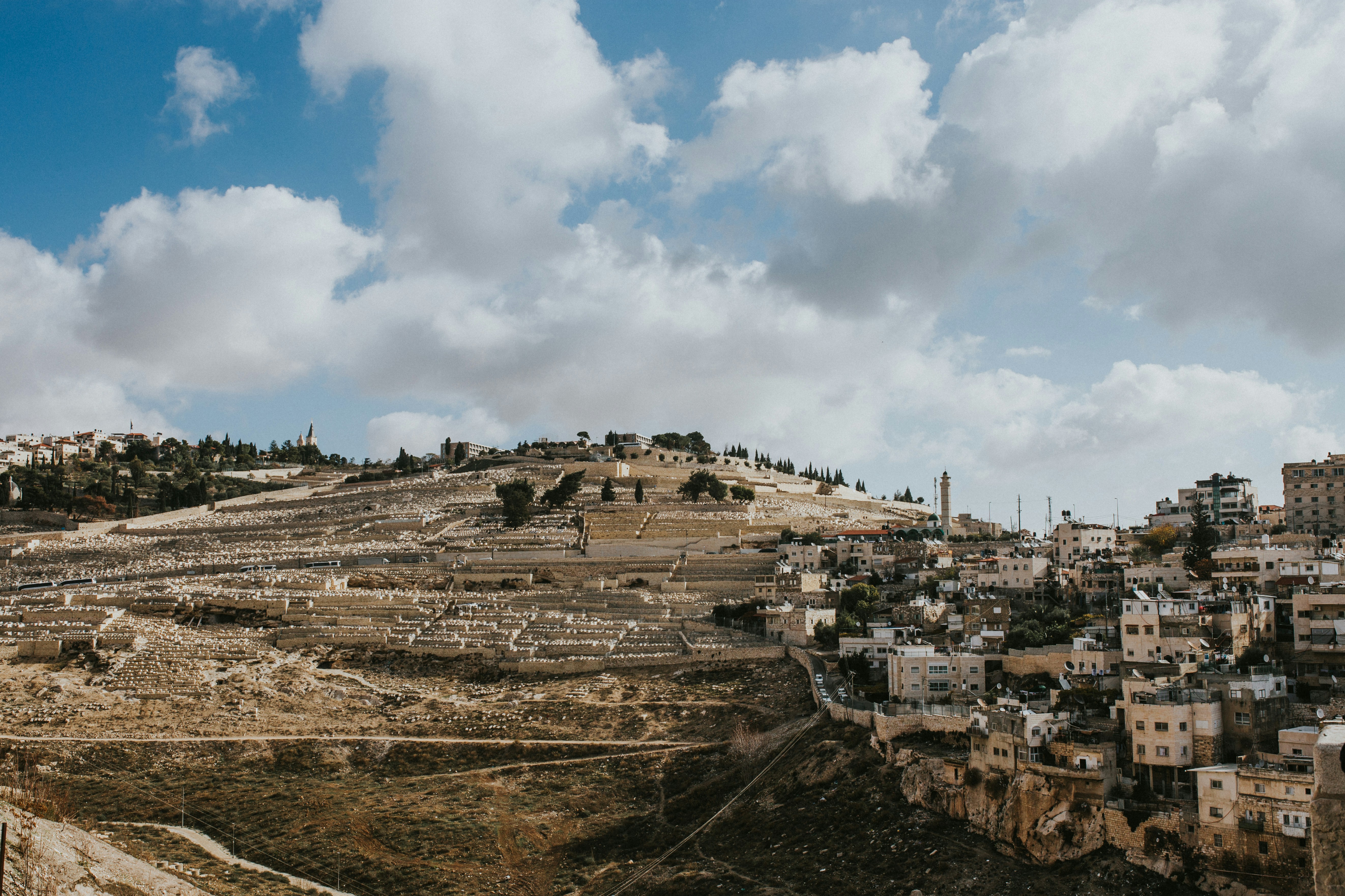 Palestine — image 4