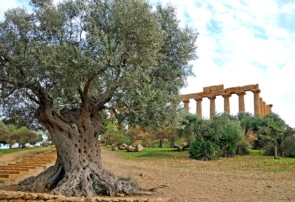 Sicily — photo 4