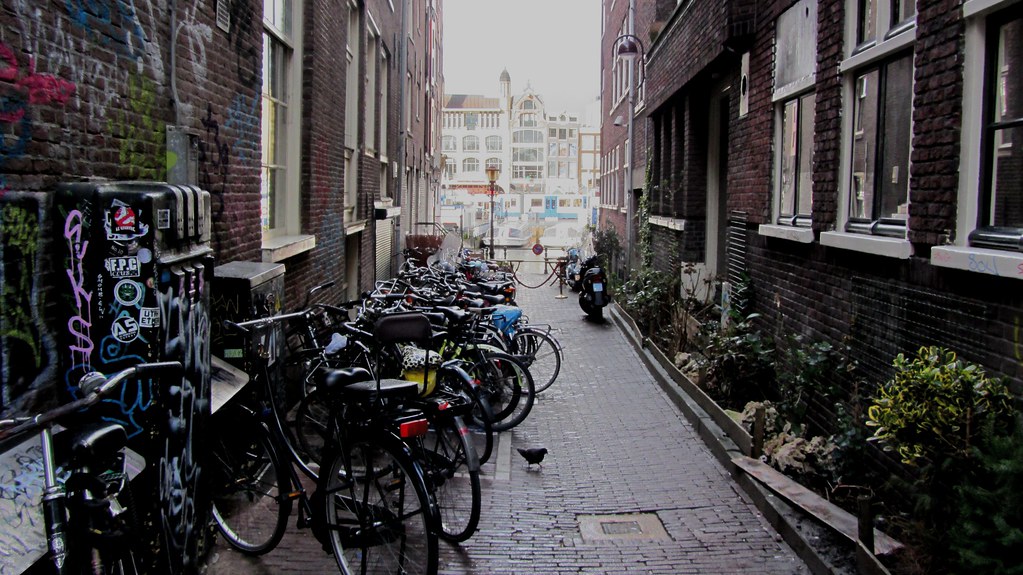 Amsterdam — photo 6